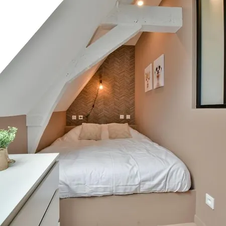 Apartamento Jean Hardy - Hyper Centre, Parking Gratuit, Wifi, Clim, Gare