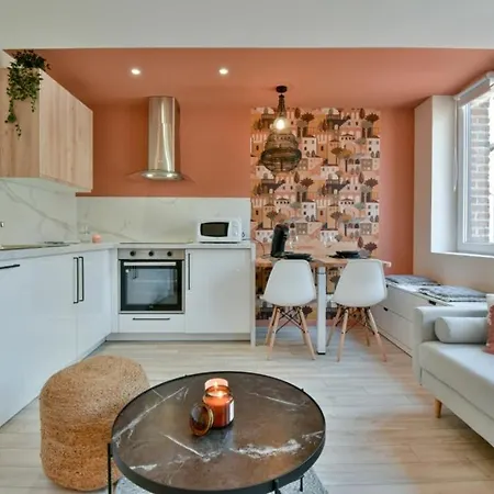 Jean Hardy - Hyper Centre, Parking Gratuit, Wifi, Clim, Gare * Valenciennes